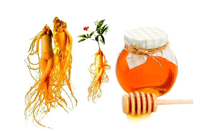 Công dụng của nhân sâm ngâm mật ong