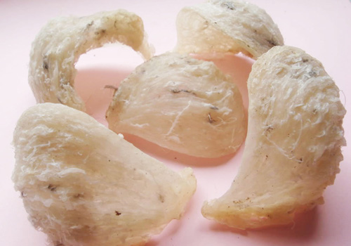 Công dụng tuyêt vời của yến sào đối với người bệnh