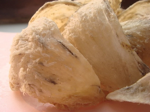 Kinh nghiệm để mua yến sào chất lượng