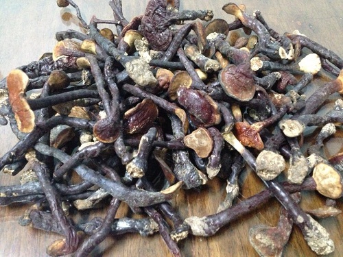 Địa chỉ cửa hàng nơi bán nấm lim xanh tự nhiên Tiên Phước Quảng Nam tại Biên Hòa, Buôn Ma Thuột