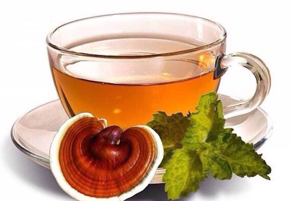 Địa chỉ cửa hàng bán nấm linh chi hàn quốc nấm linh chi đỏ, linh chi vàng, linh chi núi đá chính hãng uy tín tại Tam Điệp, Vinh