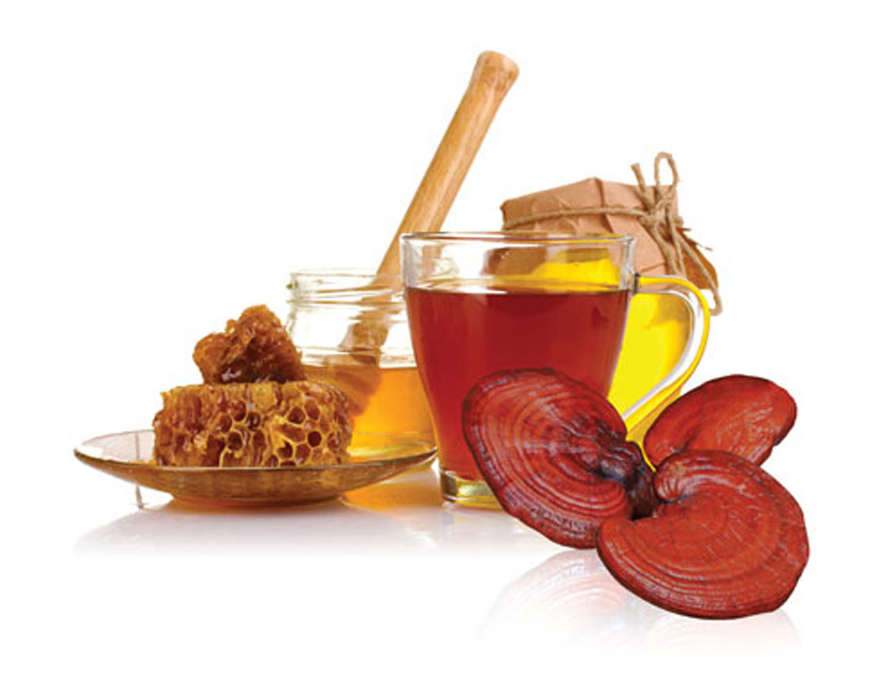 Địa chỉ cửa hàng bán nấm linh chi hàn quốc nấm linh chi đỏ, linh chi vàng, linh chi núi đá chính hãng uy tín tại Phan Thiết, Thủ Dầu Một