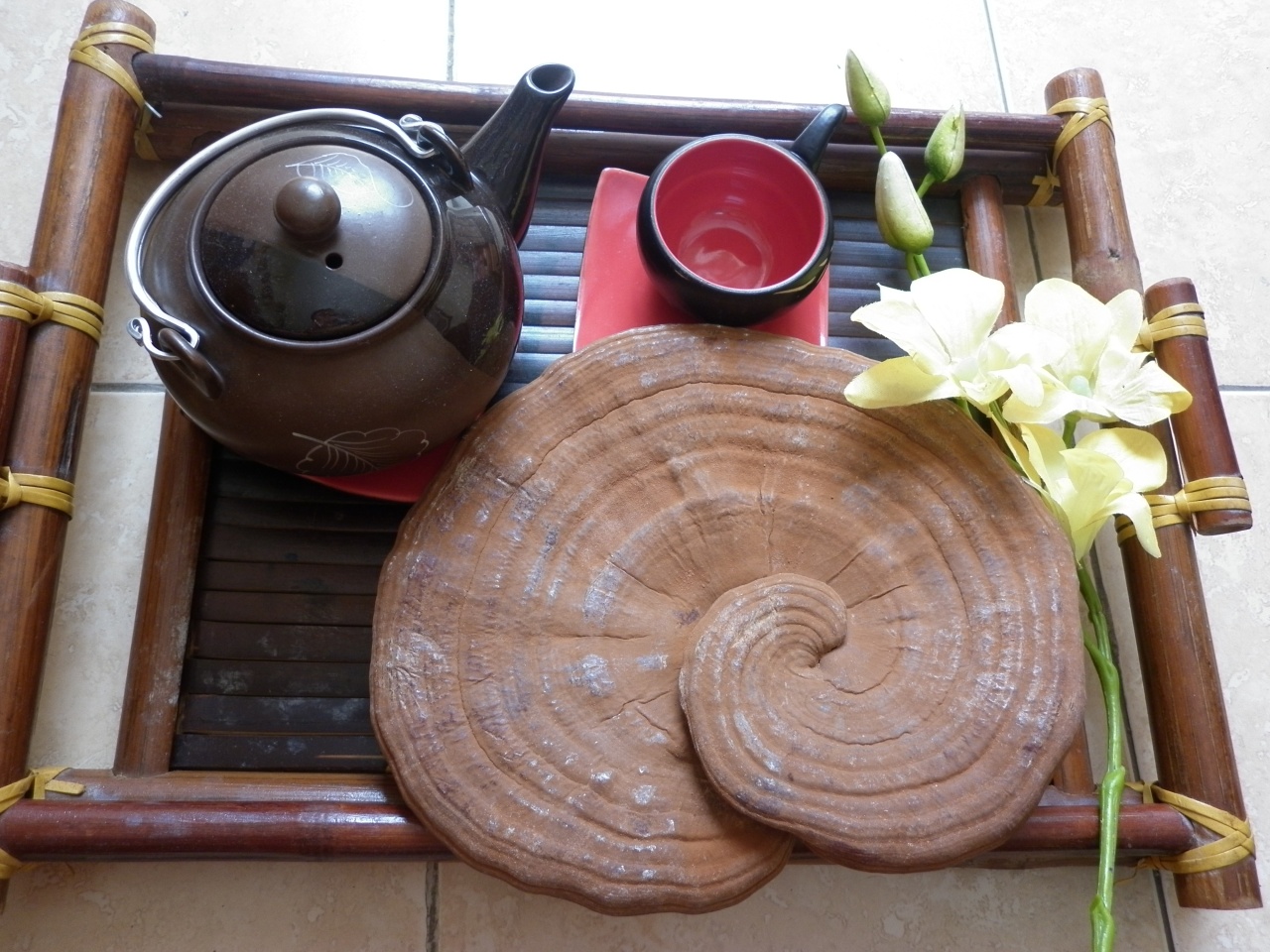 Địa chỉ cửa hàng bán nấm linh chi hàn quốc nấm linh chi đỏ, linh chi vàng, linh chi núi đá chính hãng uy tín tại Điện Biên Phủ, Vĩnh Yên