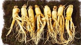 VÌ SAO NHÂN SÂM HÀN QUỐC 6 NĂM TUỔI LÀ LOẠI SÂM TỐT NHẤT ?