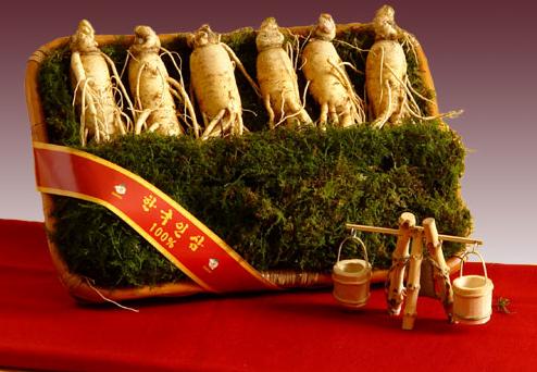 Nhân sâm chính phủ là loại sâm tốt nhất thế giới