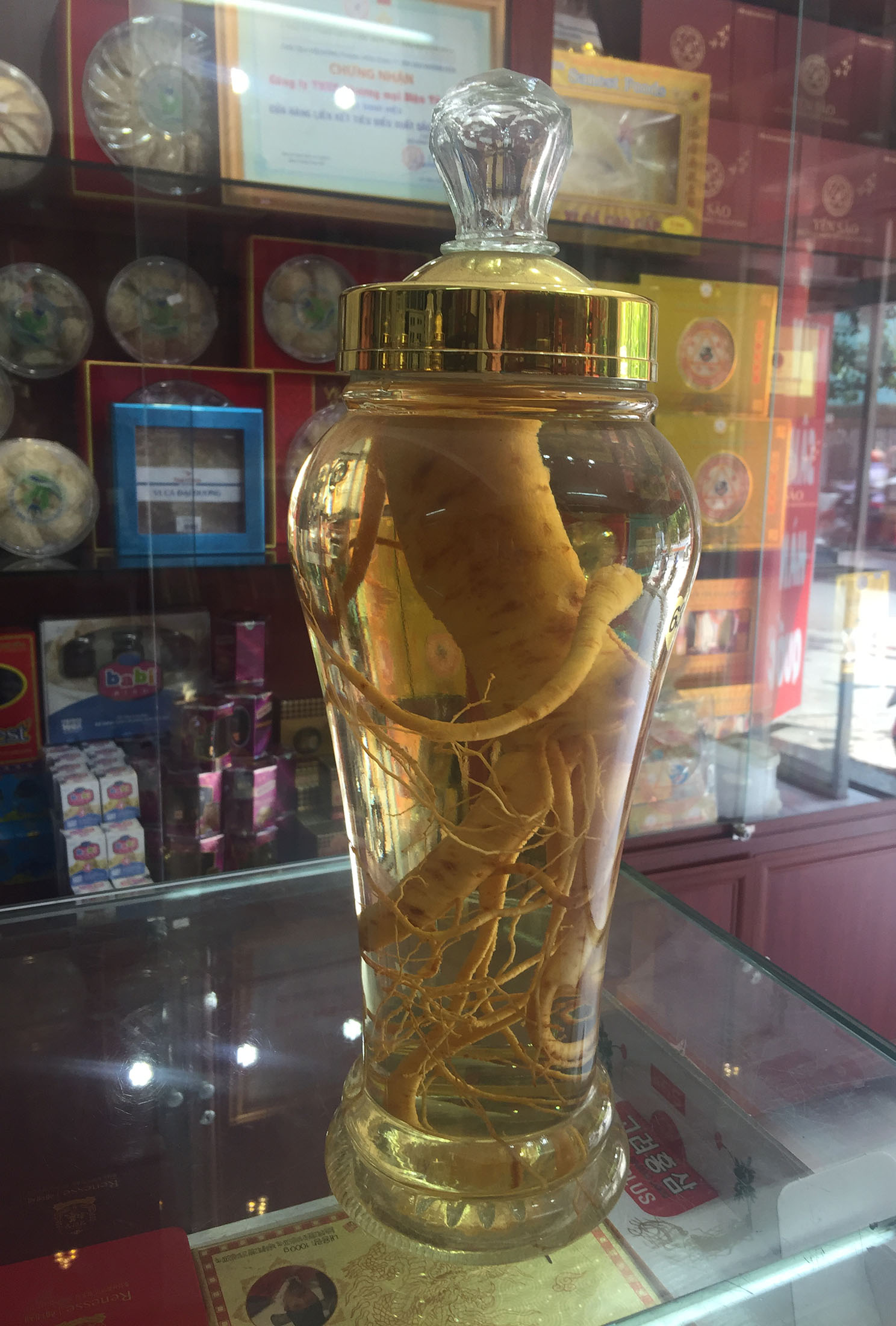 Cửa hàng bán nhân sâm tươi Hàn Quốc để ngâm rượu, hầm gà, ngâm mật ong tại Khánh Hòa, Kiên Giang