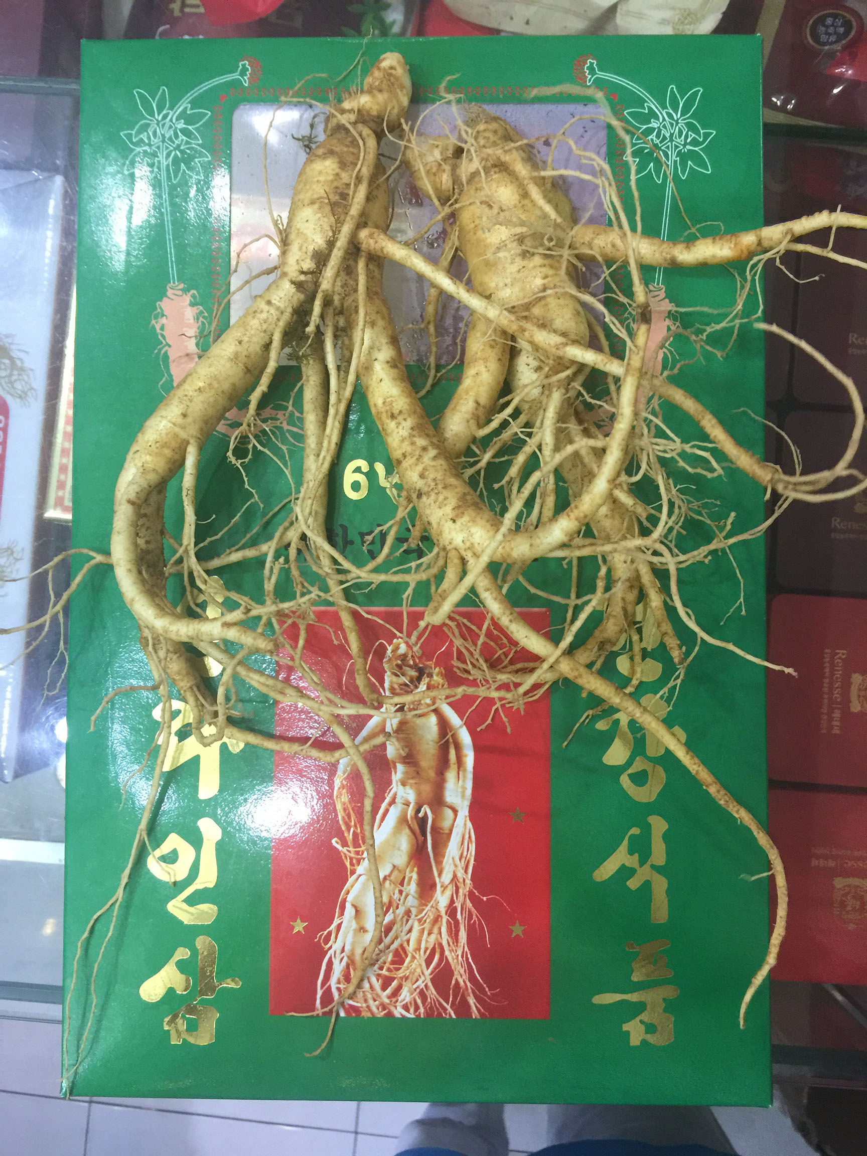 Cửa hàng bán nhân sâm tươi Hàn Quốc để ngâm rượu, hầm gà, ngâm mật ong tại Lâm Đồng, Lạng Sơn