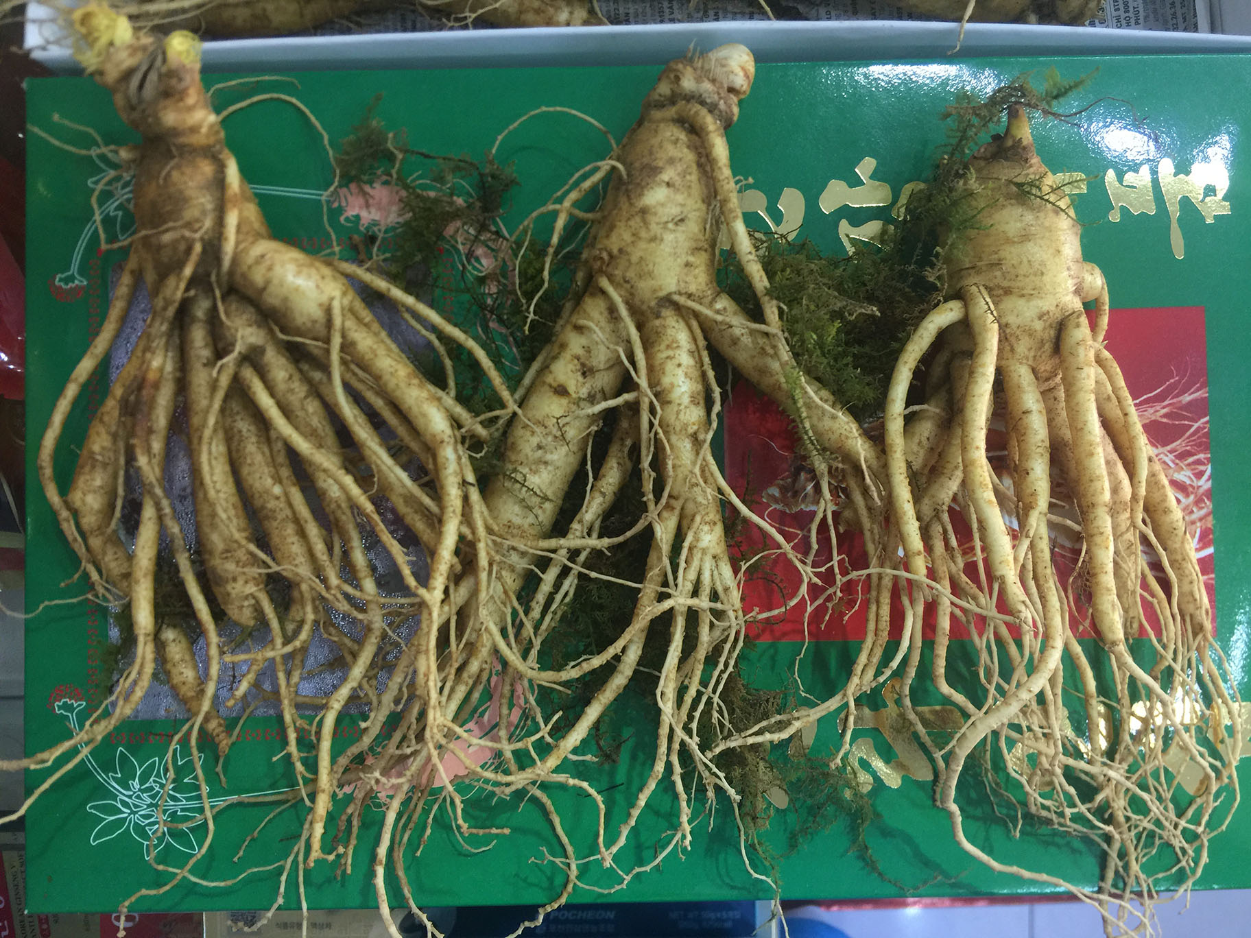 Cửa hàng bán nhân sâm tươi Hàn Quốc để ngâm rượu, hầm gà, ngâm mật ong tại quận 7, quận 8