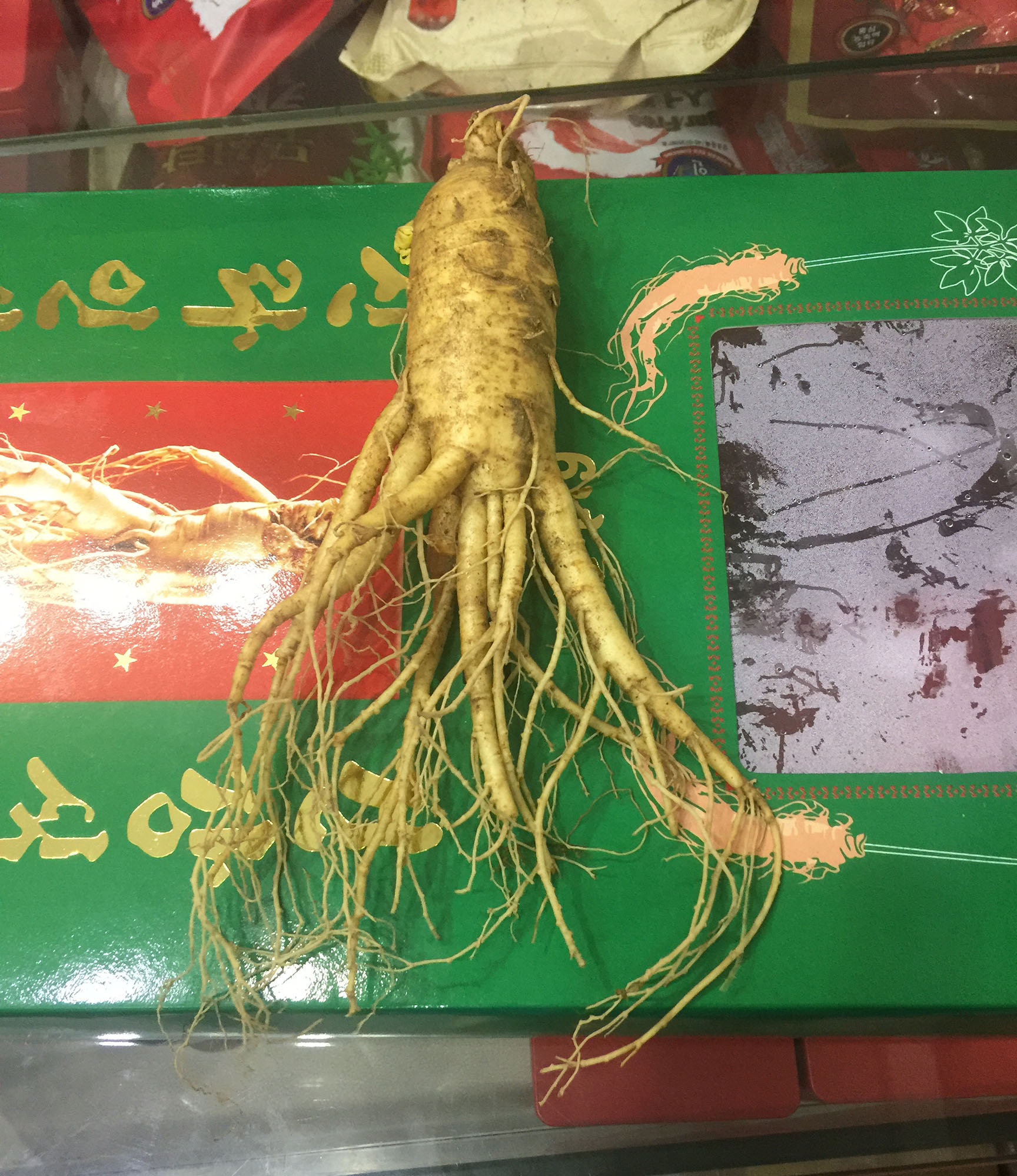 Cửa hàng bán nhân sâm tươi Hàn Quốc để ngâm rượu, hầm gà, ngâm mật ong tại Bình Tân, Củ Chi