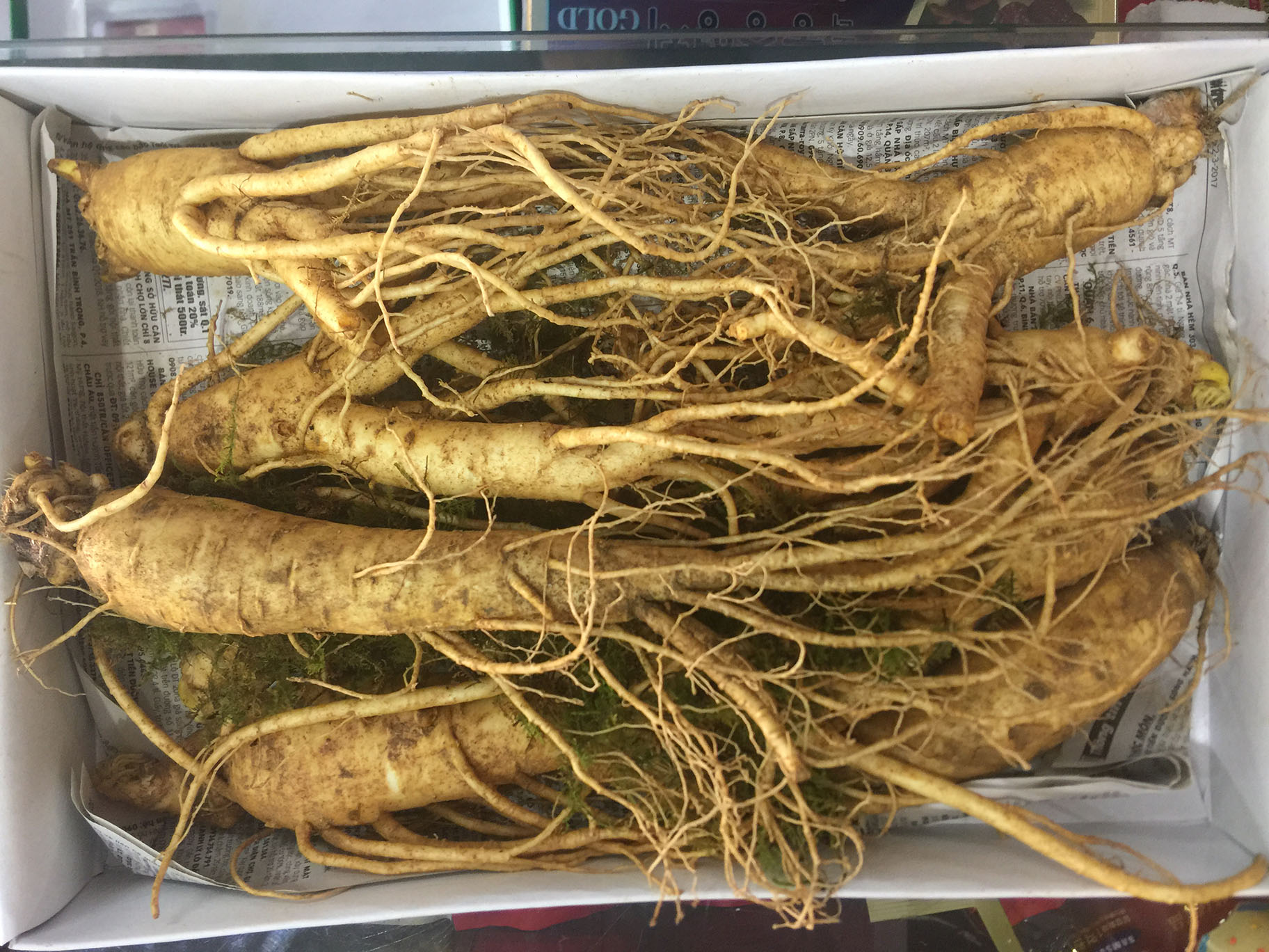 Cửa hàng bán nhân sâm tươi Hàn Quốc để ngâm rượu, hầm gà, ngâm mật ong tại Bình Dương, Bình Phước