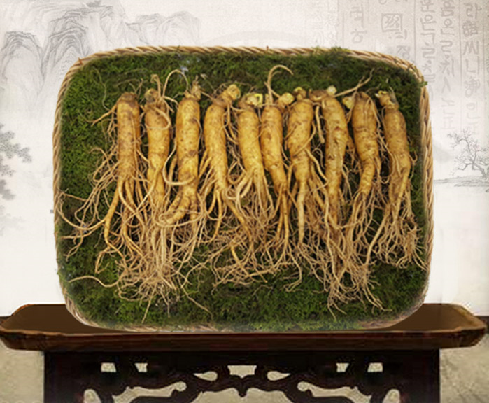 Khi sử dụng nhân sâm cần tránh những điều sau