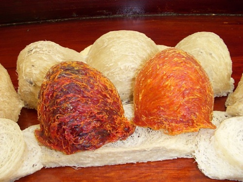 Dùng tổ yến vào thời gian nào tốt nhất