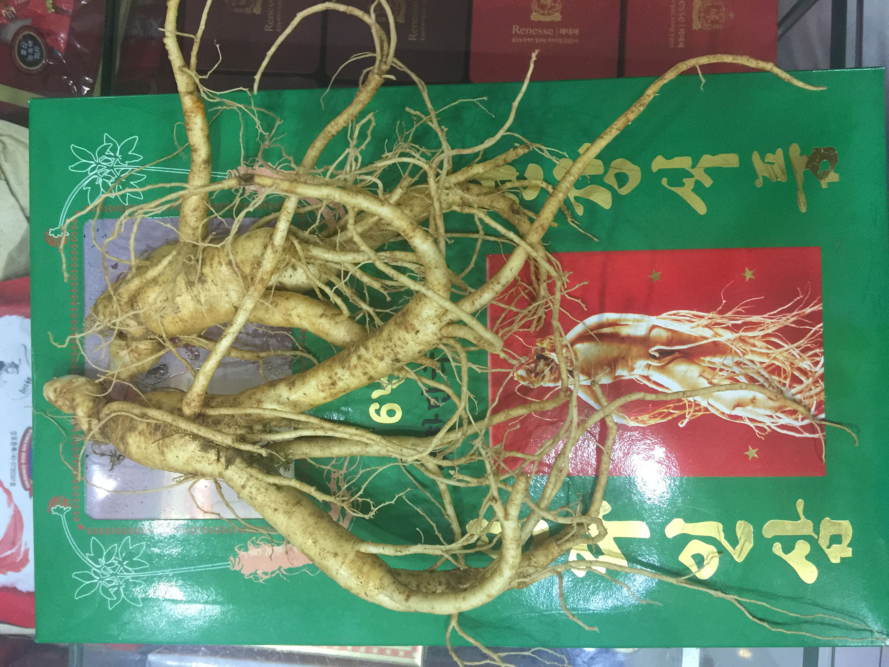 Cửa hàng bán nhân sâm tươi Hàn Quốc để ngâm rượu, hầm gà, ngâm mật ong tại Cẩm Phả, Hạ Long