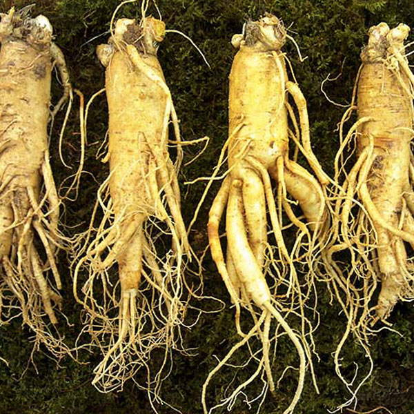 Cách nhận biết thực phẩm chức năng chính hãng mà người dùng nên biết