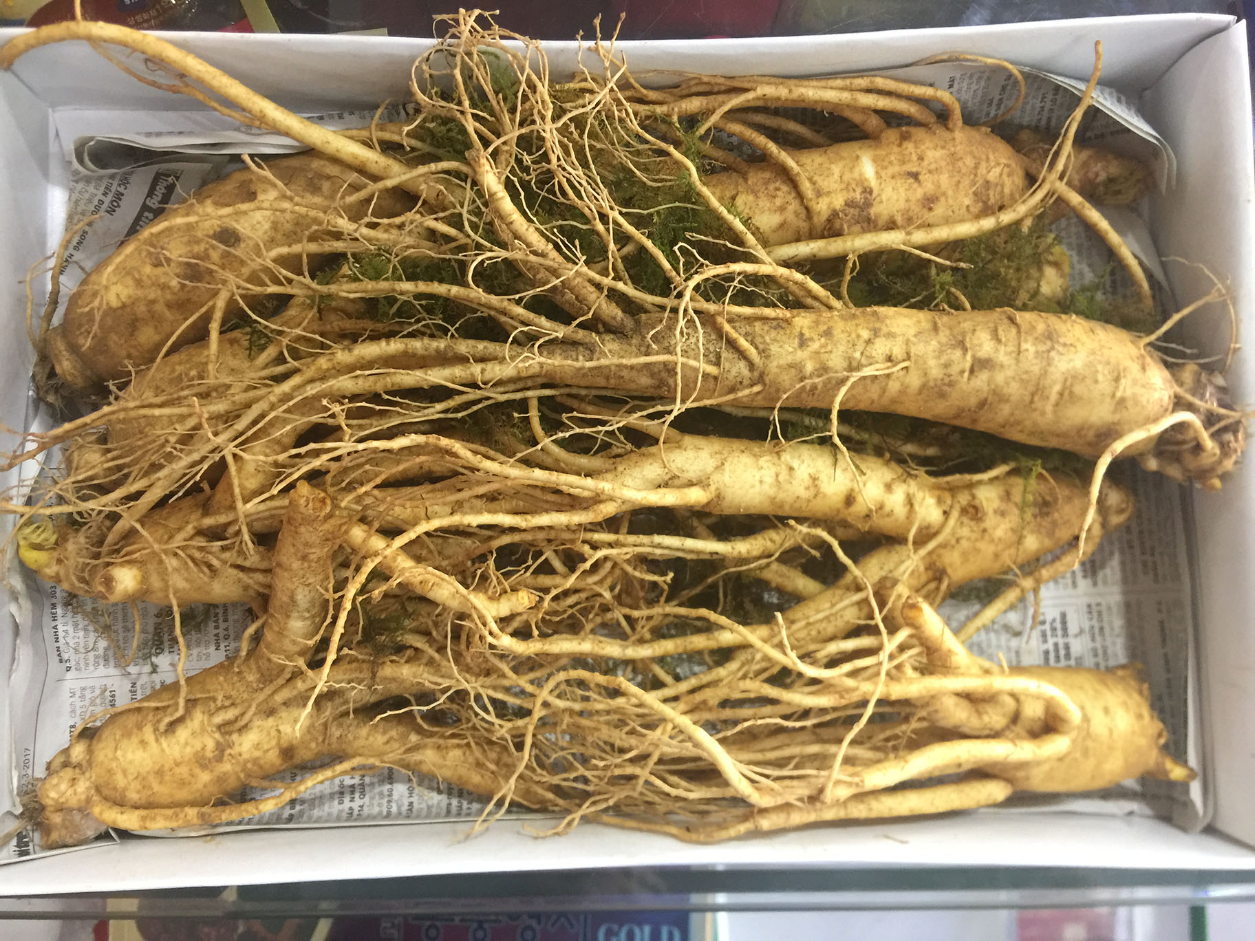 Đại lý phân phối Nhân sâm Hàn Quốc tại huyện Chương Mỹ, Đan Phượng, Hoài Đức