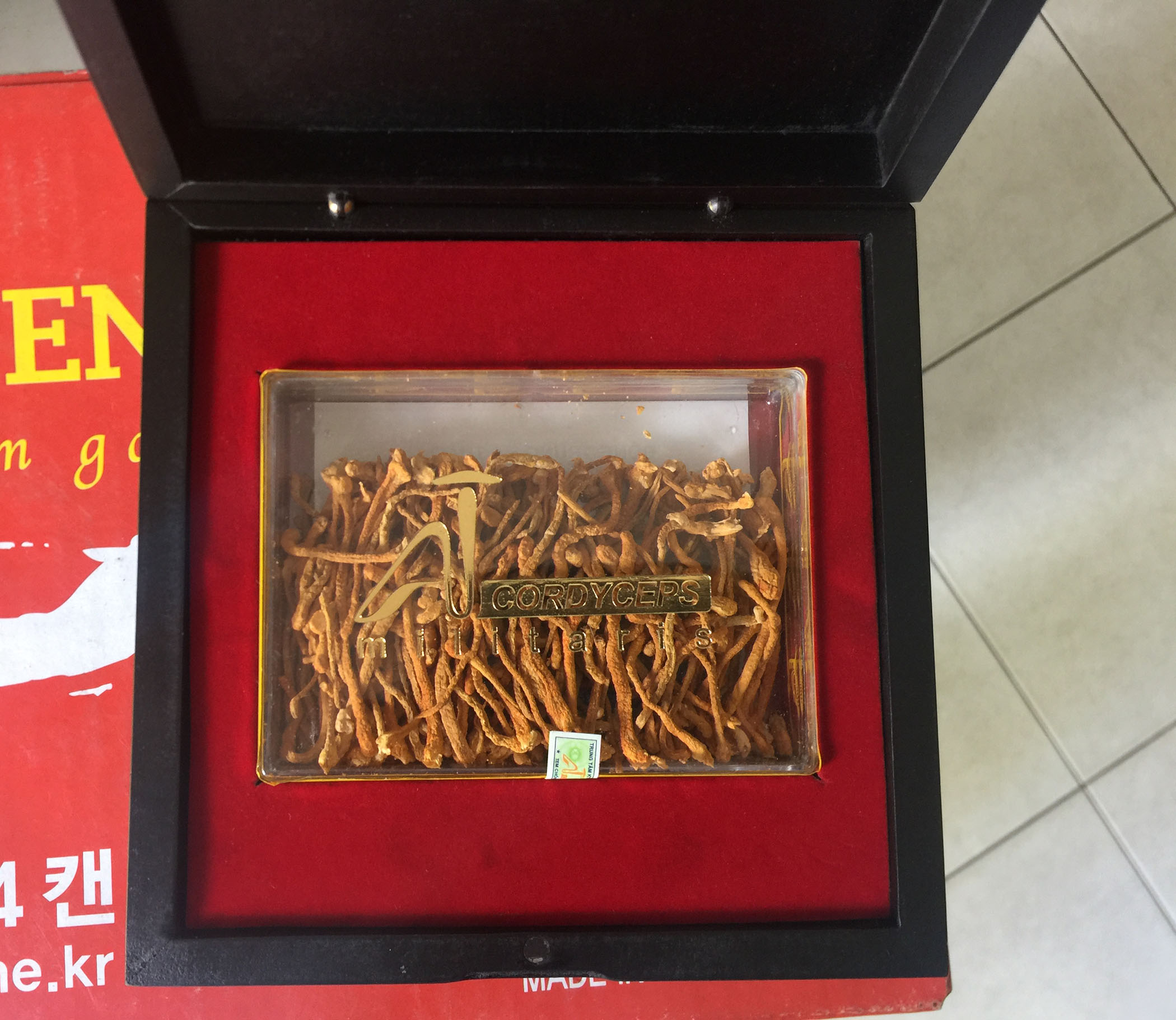 Địa chỉ cửa hàng bán đông trùng hạ thảo tây tạng nguyên con, viên đông trùng, cao đông trùng, nước đông trùng hạ thảo Han Quốc chính hãng uy tín tại huyện Thường Tín, Phú Xuyên, Mê Linh