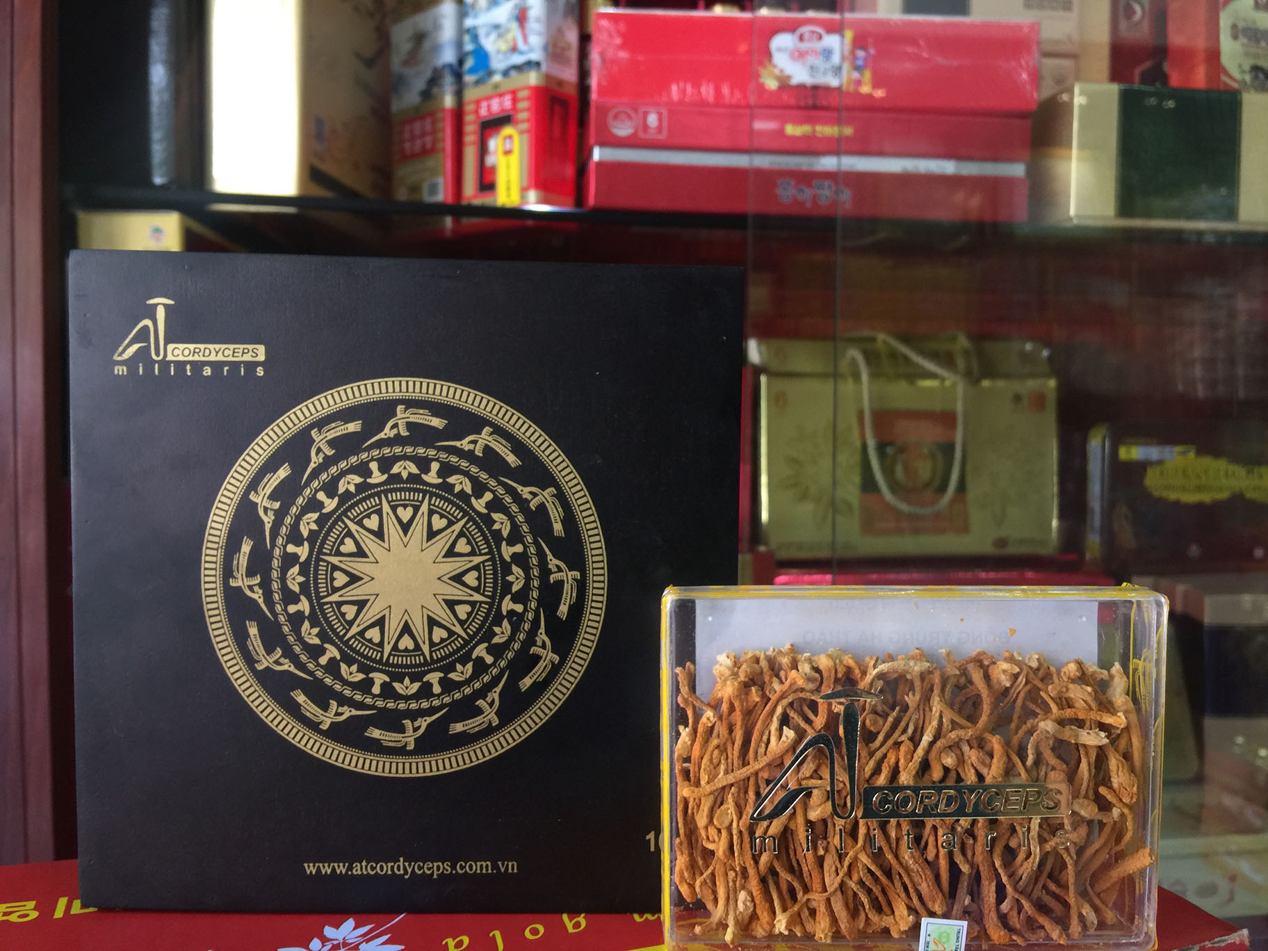 Địa chỉ cửa hàng bán đông trùng hạ thảo tây tạng nguyên con, viên đông trùng, cao đông trùng, nước đông trùng hạ thảo Han Quốc chính hãng uy tín tỉnh Cao Bằng, Đắk Lắk, Đắk Nông