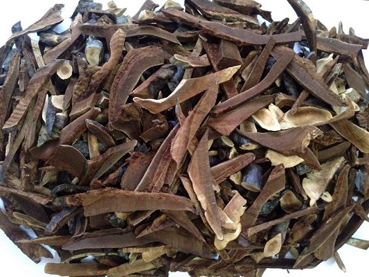 Địa chỉ cửa hàng nơi bán nấm lim xanh tự nhiên Tiên Phước Quảng Nam tại tỉnh Sơn La, Tây Ninh, Thái Bình