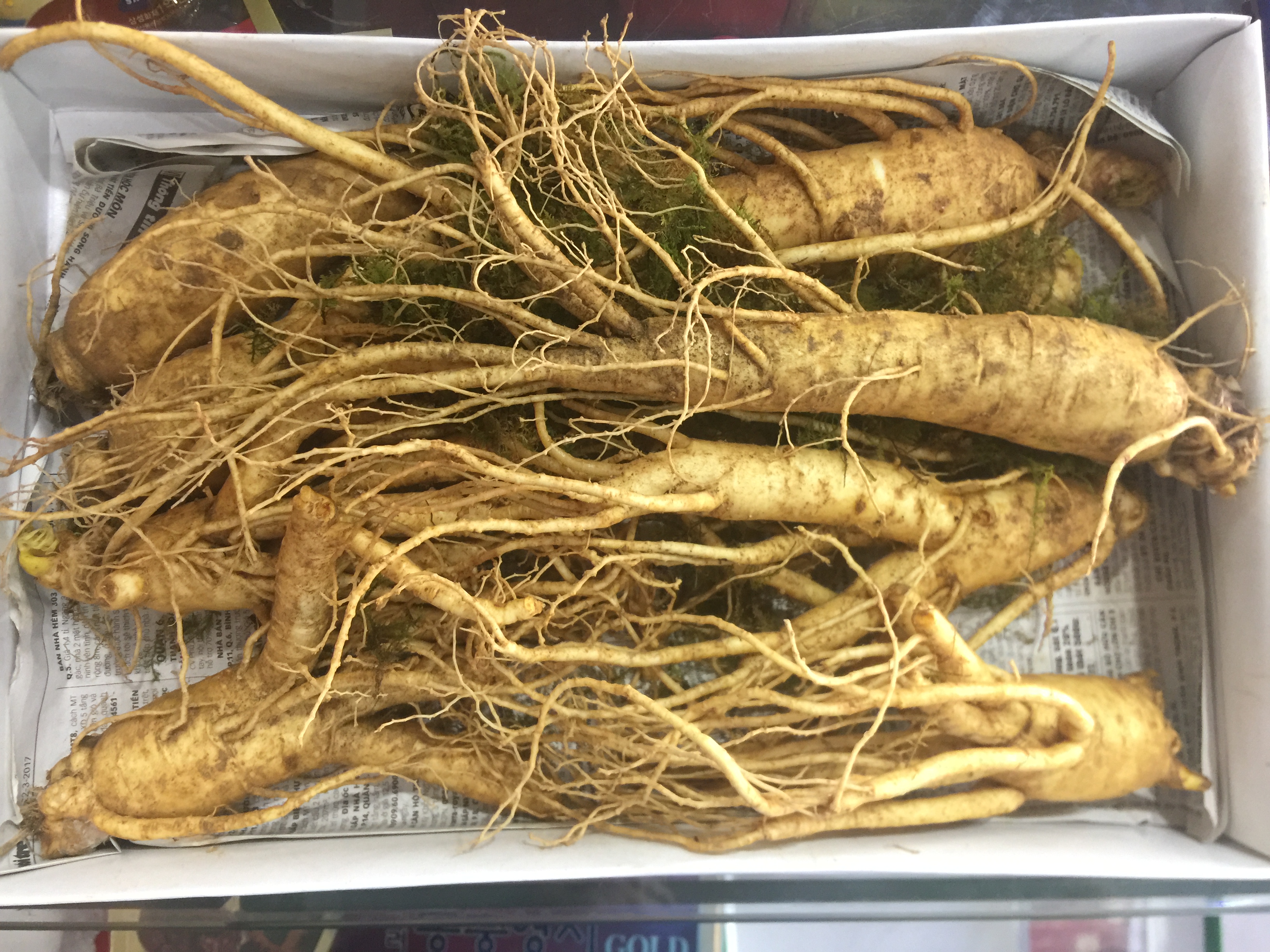 Đại lý phân phối Nhân sâm Hàn Quốc tại Mỹ Tho, Sông Công