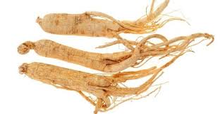 Địa chỉ mua nhân sâm Hàn Quốc chính hãng ở đâu ?