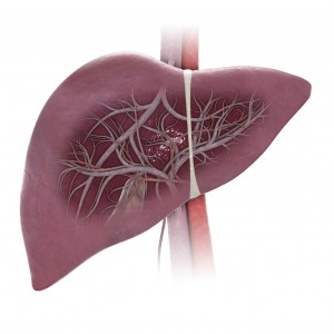 Nhân sâm và những công dụng tuyệt vời cho nam giới