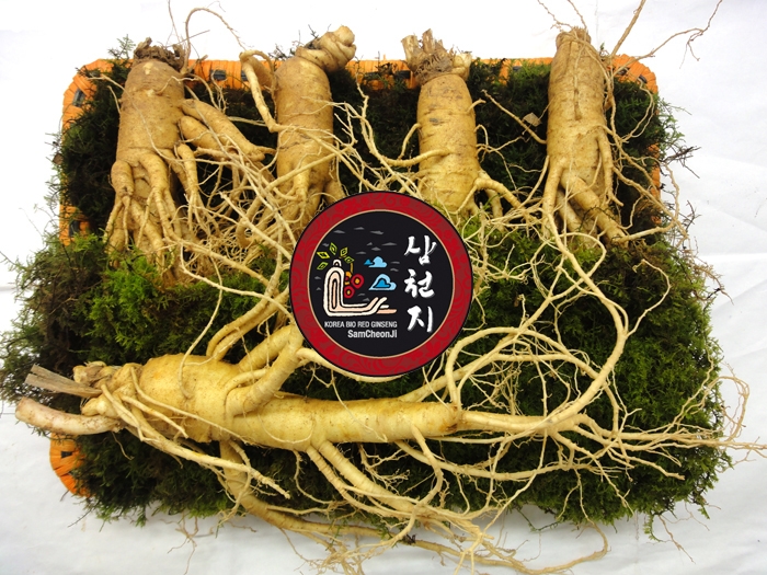 Củ sâm tươi mang những thành phần dưỡng chất gì ?