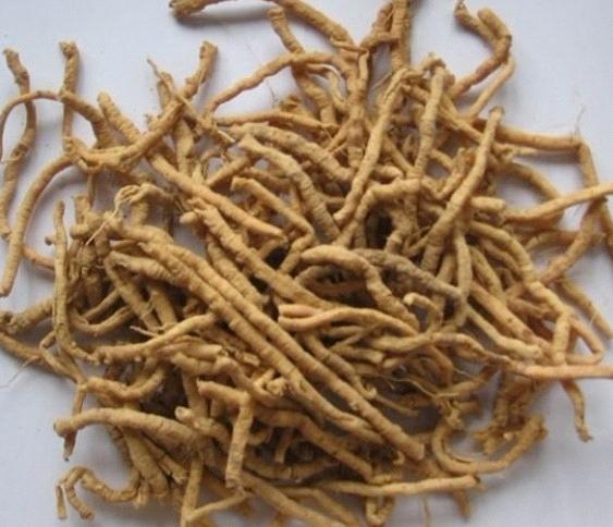 Viễn chí vị thuốc chữa bách bệnh