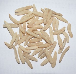 Điều trị ho, viêm phế quản, huyết áp thấp bằng Mạch môn