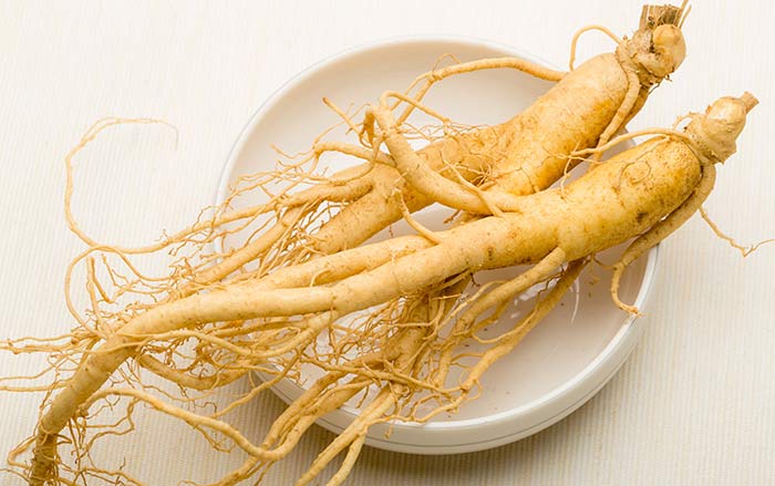 Địa điểm mua nhân sâm ngâm mật ong uy tín