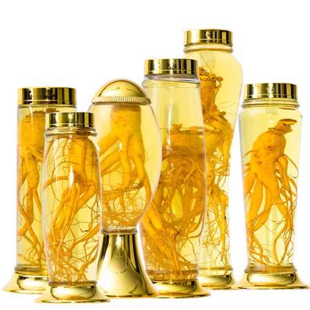 Những điều nên biết để ngâm rượu sâm 1 cách hiệu quả