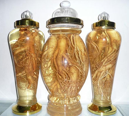 Cách ngâm rượu sâm tươi đạt hiệu quả tối ưu