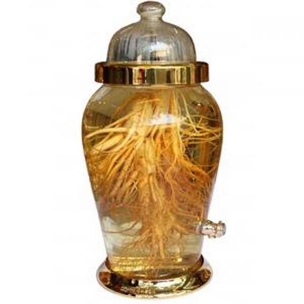 Cách ngâm rượu nhân sâm tươi